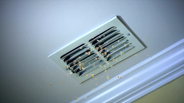 Best HVAC Maintenance and Cleaning  in Susan Moore, AL